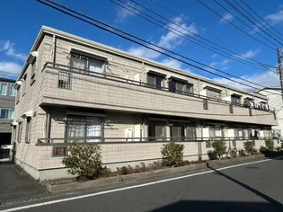 プリュニエラバンの画像