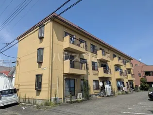 エリールサチの画像