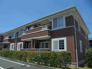 スター マグノリアの画像