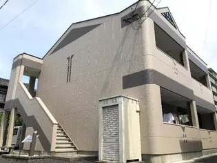 エル センサーの画像
