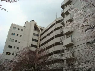 六本木ハイツの画像