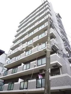 B PERSIMMONの画像