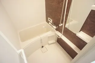 サヴォイ ラ・ピエル サフィール【4階】の風呂