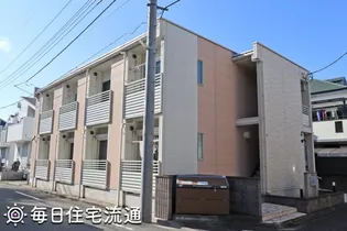 レオネクストサンフラワーの画像