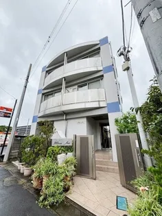 マーサジュンの画像