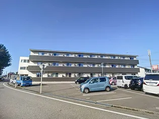 ポンパブランカ12の画像