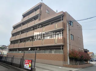 バウムガルテンの画像