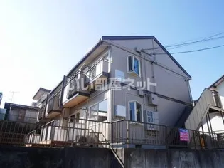 ハミングバードの画像