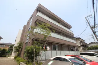 M'S SHONANDAIBの画像