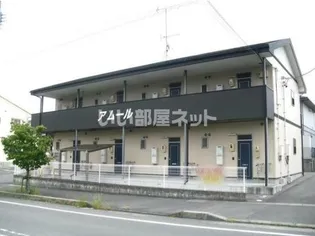 アムールの画像