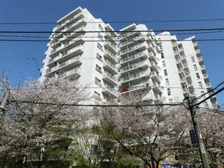 ニューライフ西早稲田の画像