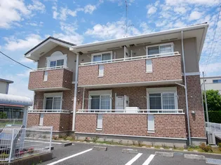 ミオソティスの画像
