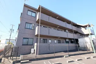 シャルムマスダIIIの画像