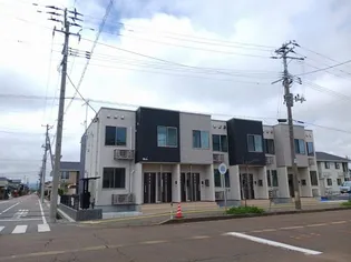 モデルノ プラシードの画像