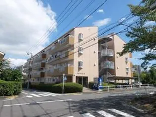 ドュ ミリエールの画像