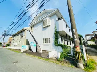 カーサ林の画像