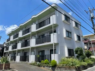 ビクトリアKの画像