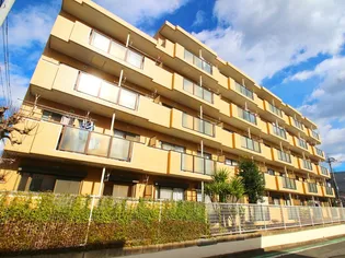 センチュリーキャニオンの画像