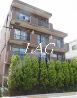 ヒラソルの画像