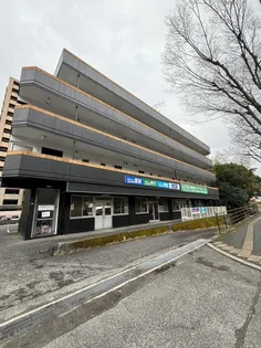 THE 5TH CREST白石の画像