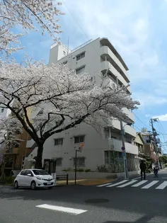 小石川播磨坂ハイツ【1階】の外観