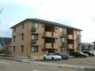 コータ コートKの画像