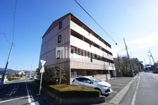 LA PALTIDAの画像