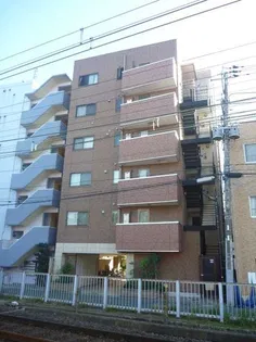 スクエアコートの画像
