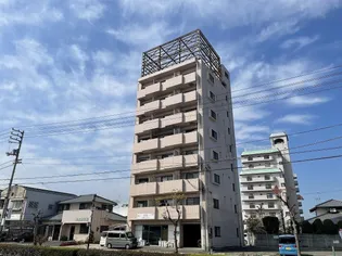 SAFARI 新居浜の画像