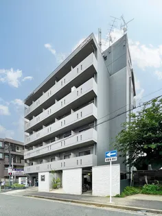 ピボットヴァンベールの画像