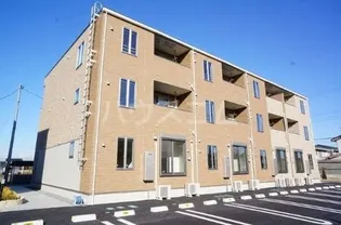 SMALL FORESTIの画像