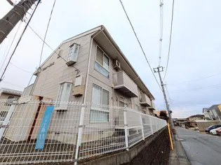 パラメーゾンBの画像