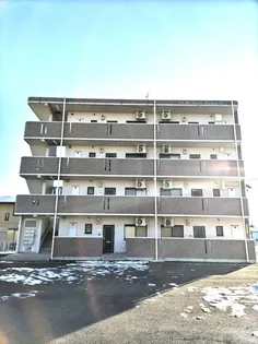 ユーミーハイピースⅡの画像