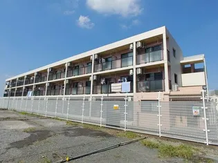 フィールドフジの画像