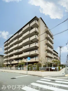 レジェンダリー小松の画像