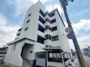 シャルムT Mの画像