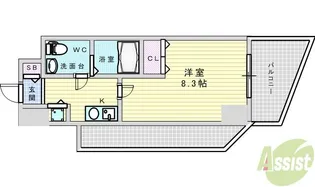 セレニテ新大阪弐番館【11階】の間取り