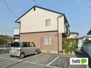 コートシルバーの画像