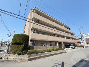 ステラハイムの画像