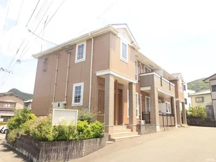 プラシードBの画像