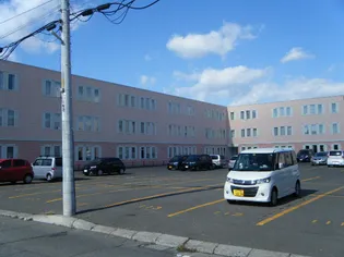 ラグ161Wの画像