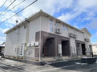 プリム ローズの画像