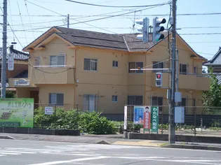 ハイムコスモスの画像