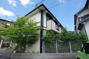 ラスターNの画像