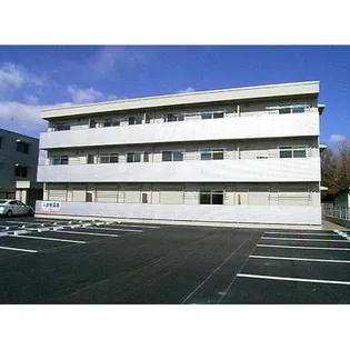 ヴァンヴェストAの画像