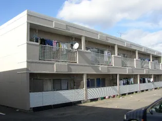 エバーランド伊藤の画像