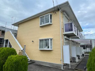 ピュア ルミナスの画像