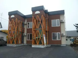 シータートルの画像