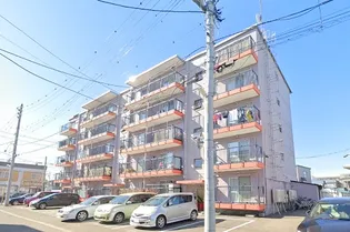 MS,MURAKAMIの画像