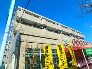 マルベリーコートの画像